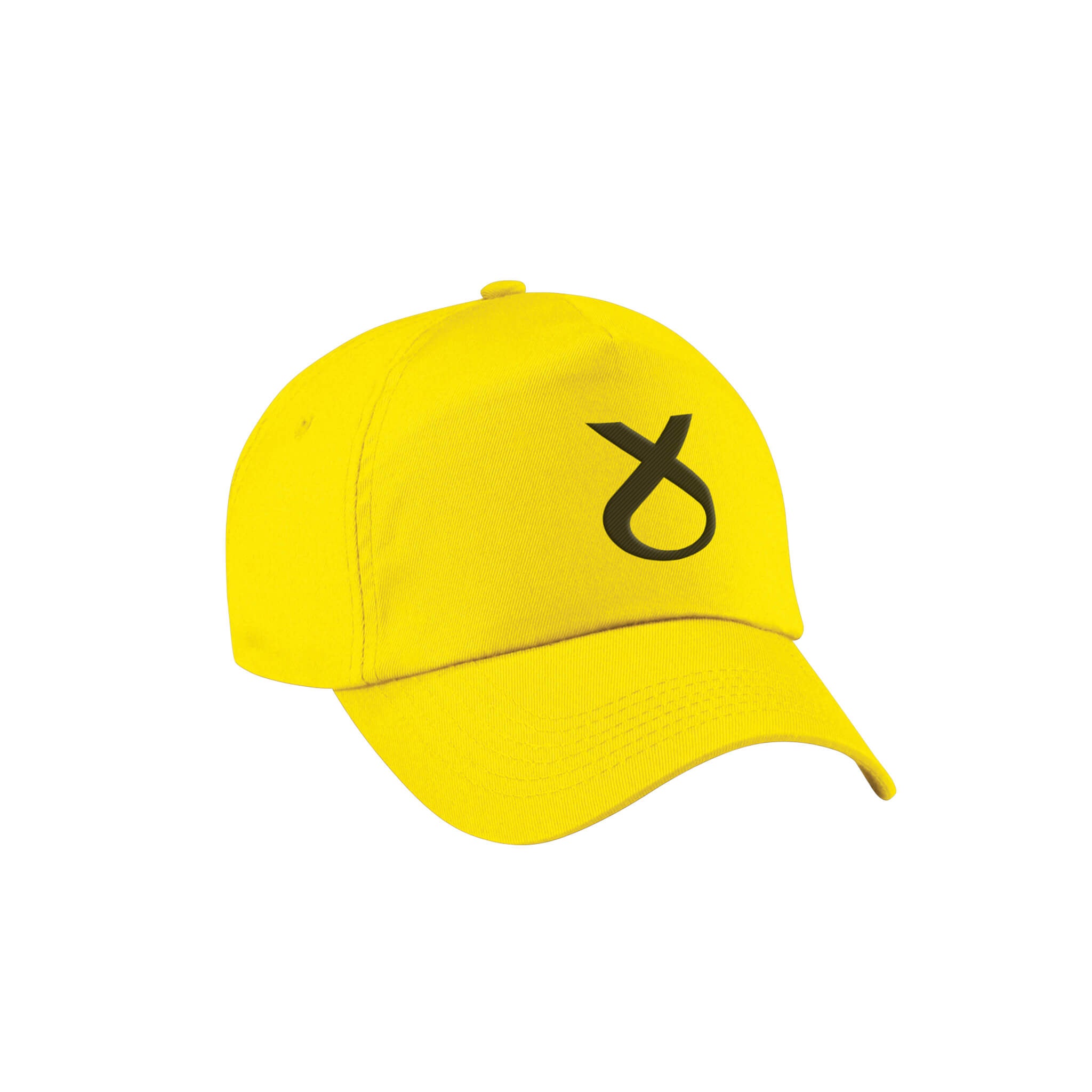 SNP Symbol Baseball Cap – Official SNP Store